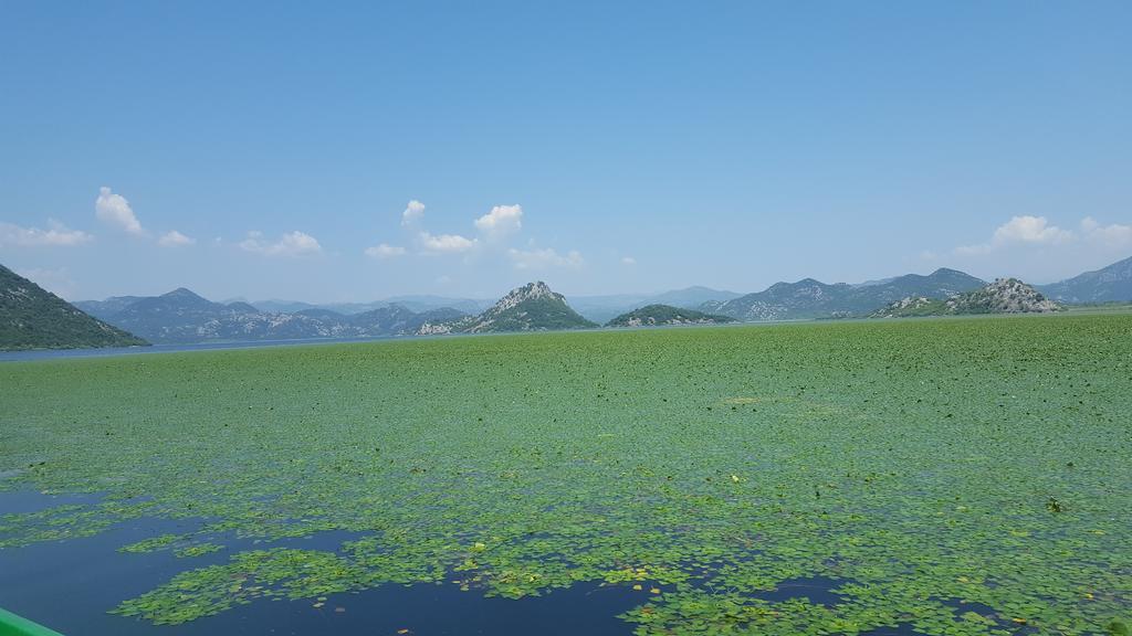 Skadar Lake House Virpazar Eksteriør billede